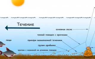 Ловля окуня зимой на яйца
