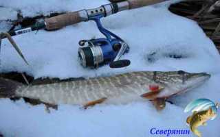 Зимний спиннинг. Секреты успешной рыбалки