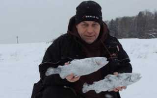 Рыбалка в Раково